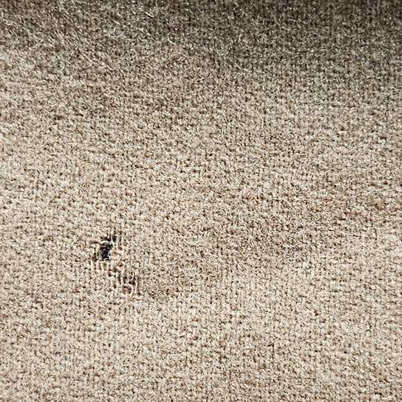 Mens Jacket Blazer Honey Brown100%  Camel Hair Satin Lined 2 Button Closure 46 R - Picture 14 of 15